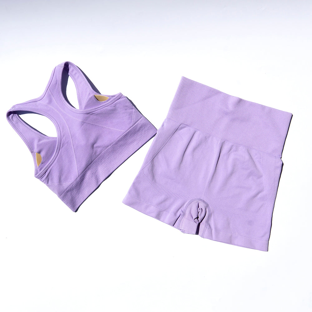 Crop Tank High Waist Bike Short Set - Lilac - IVYPHANT